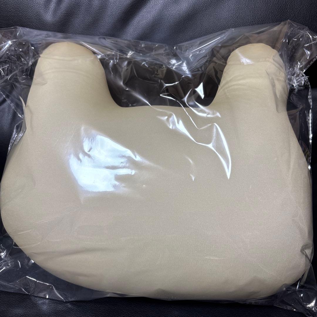 ☆セール未開封新品 かべちょろクッション レオナルド