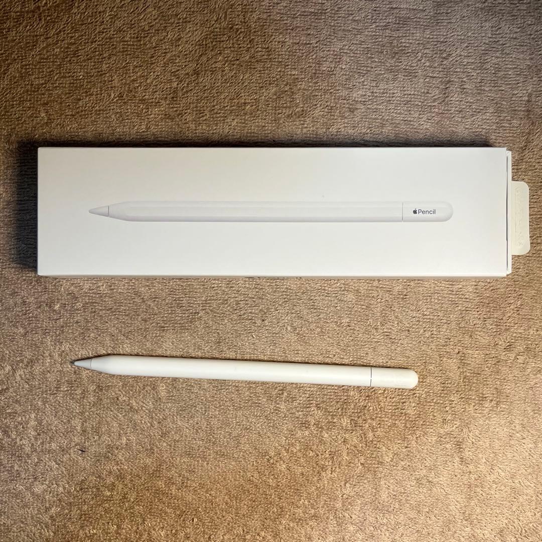 【美品・完備品】Apple Pencil (USB-C) | 箱・付属品あり