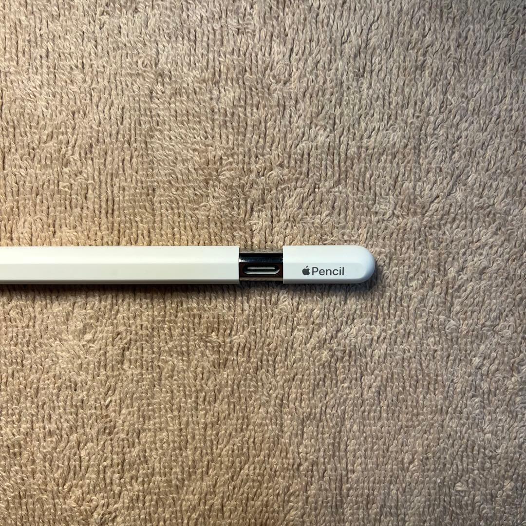 【美品・完備品】Apple Pencil (USB-C) | 箱・付属品あり