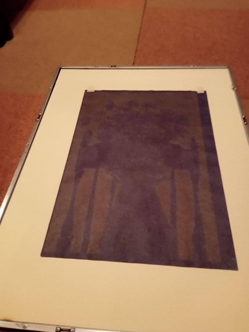 田中秀頴　秋桜子　パステル画