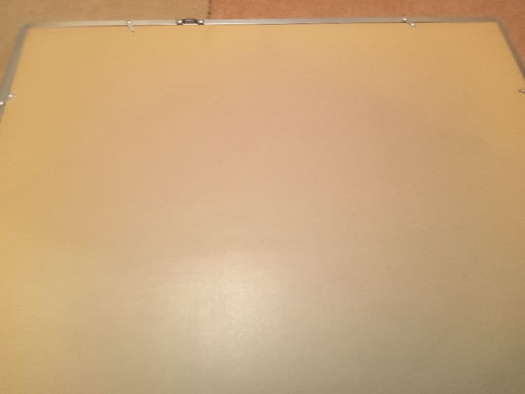 田中秀頴　秋桜子　パステル画