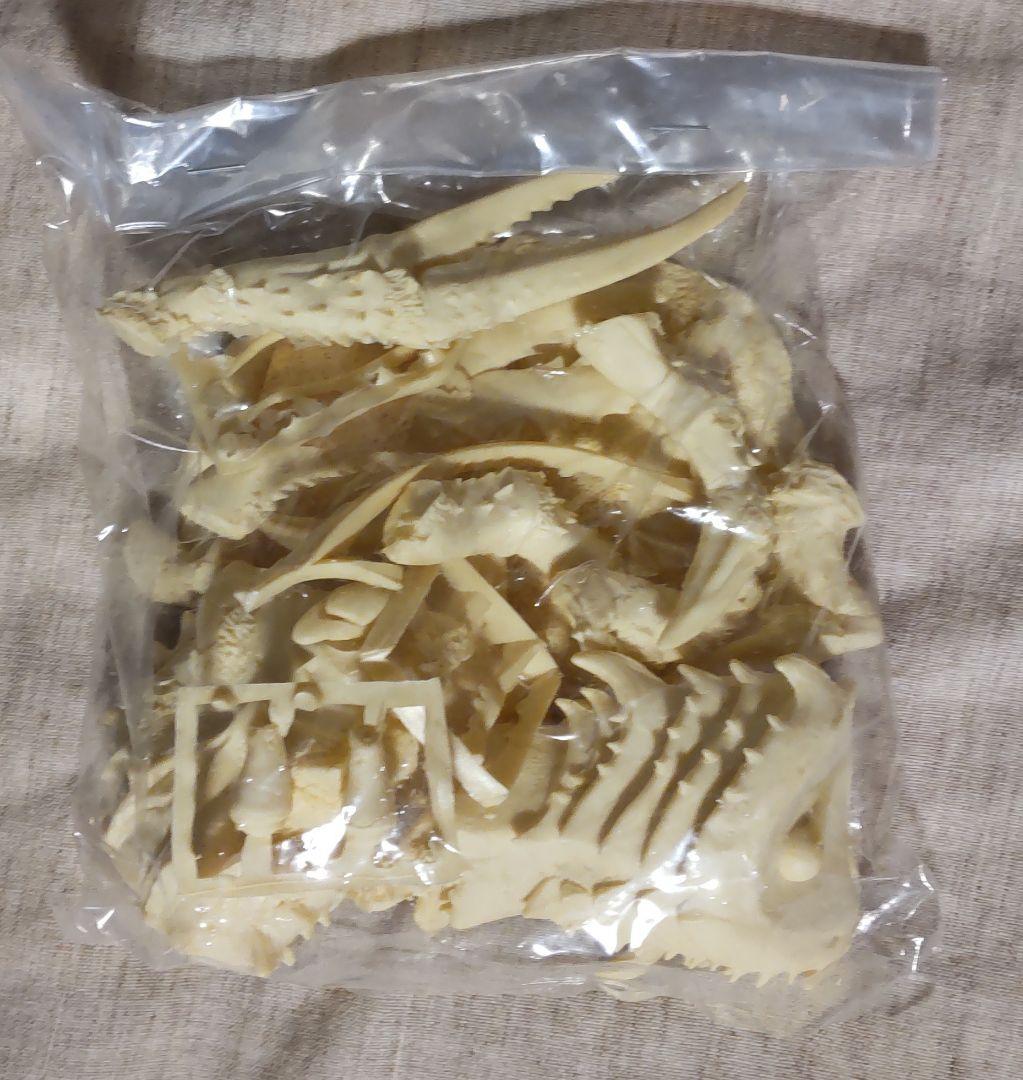 海洋堂 決戦！南海の大怪獣 ゲゾラ・ガニメ・カメーバ