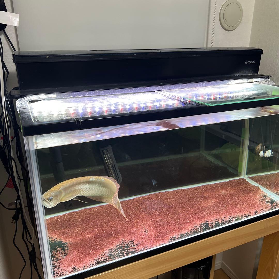 90cm水槽フルセット 水槽＋水槽台＋上部外部フィルター＋ヒーター＋LEDライト