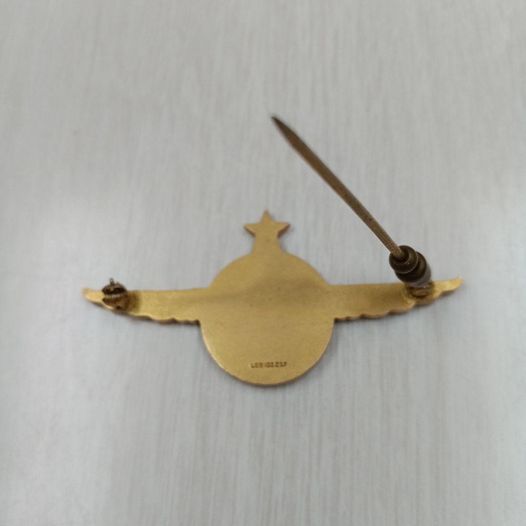 【超レア】パンアメリカン航空 パイロット ウイング ピンバッチ