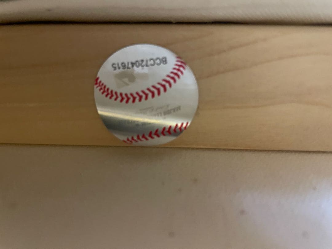 大谷翔平選手のフォトキャンバスパネル ２個セット