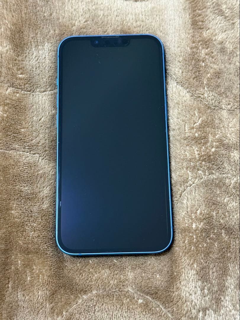 Apple iPhone 13 本体 256GB