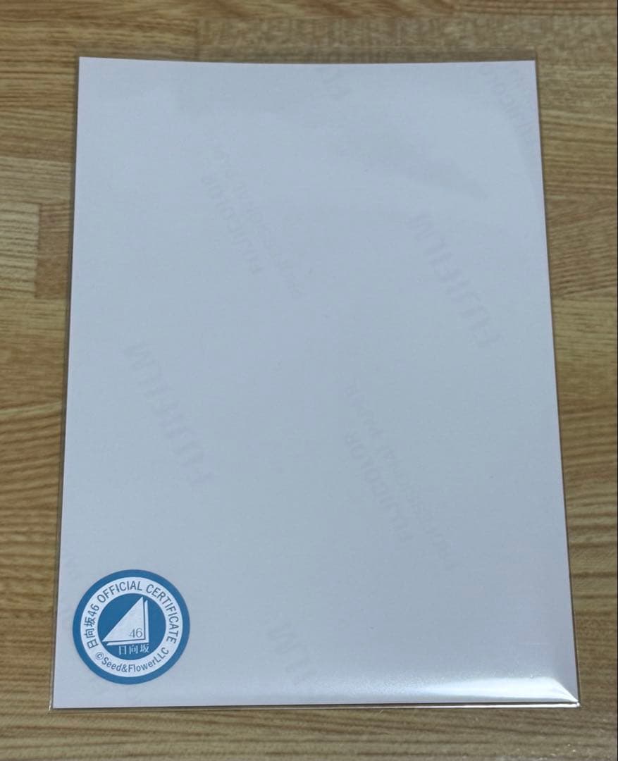 日向坂46 清水理央 サンタ衣装 2023 直筆サイン入り生写真