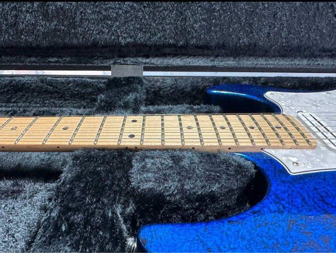 フジゲン　EOS 限定カラー