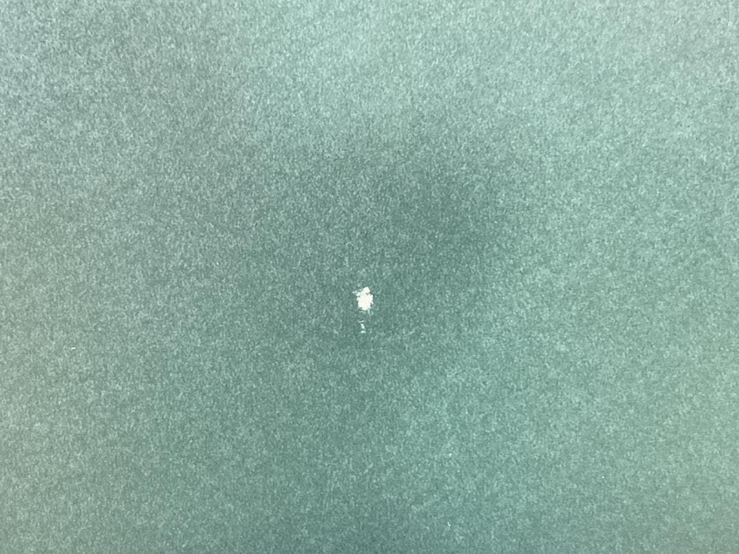 Elsa's Wish アナと雪の女王 複製原画 500枚限定品