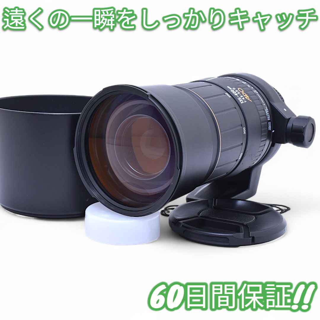 美品 Sigma APO 135-400mm 4.5-5.6 D Nikon