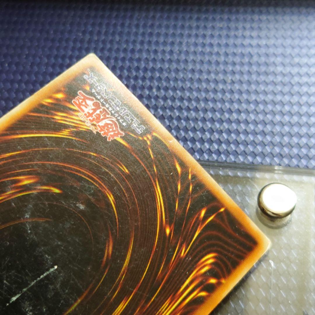 遊戯王 二頭を持つキング・レックス ノーマル ブースター たやや