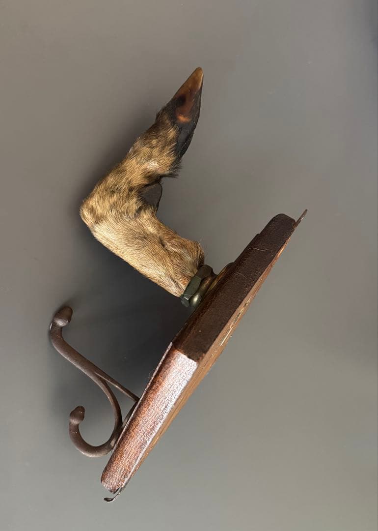 アンティーク★ 鹿足壁掛け　ウォールハンガー　undercover