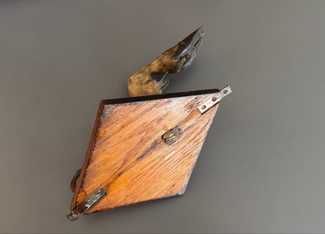 アンティーク★ 鹿足壁掛け　ウォールハンガー　undercover