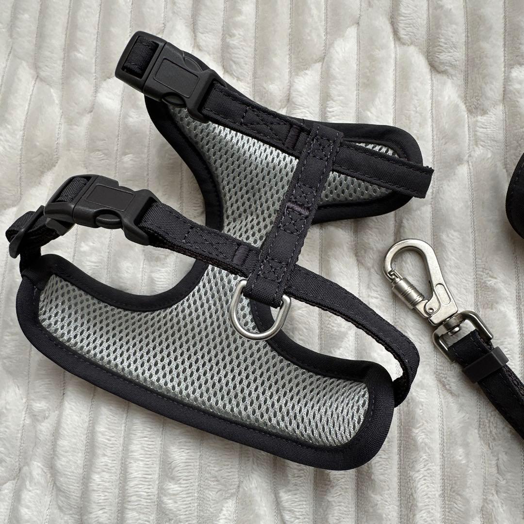 GELATO PIQUEハーネス&リードセットSサイズ