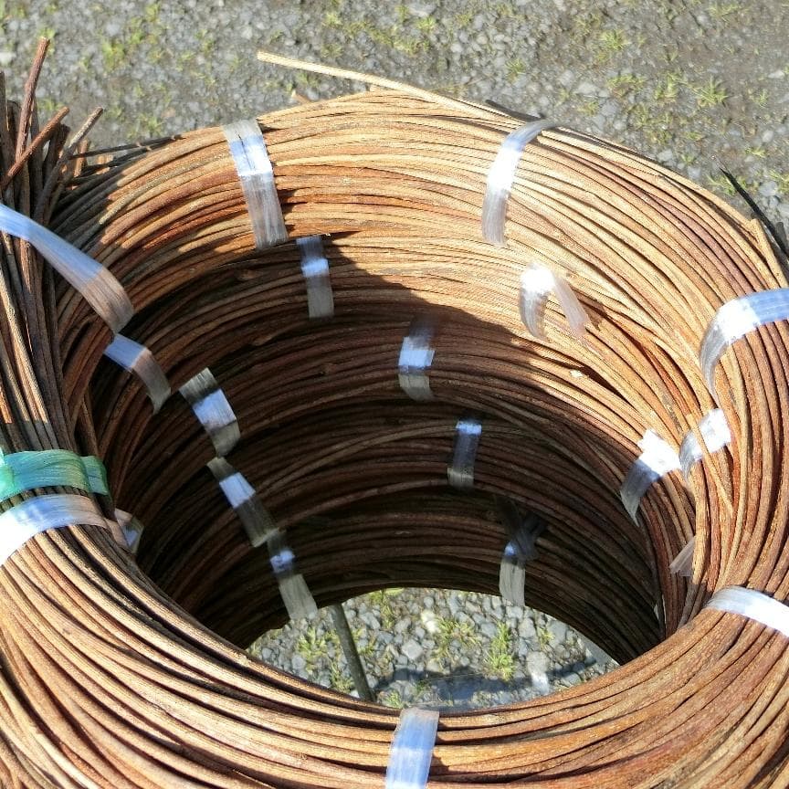 Marron　青森岩木山採取　あけび蔓　150cm～ 5kg