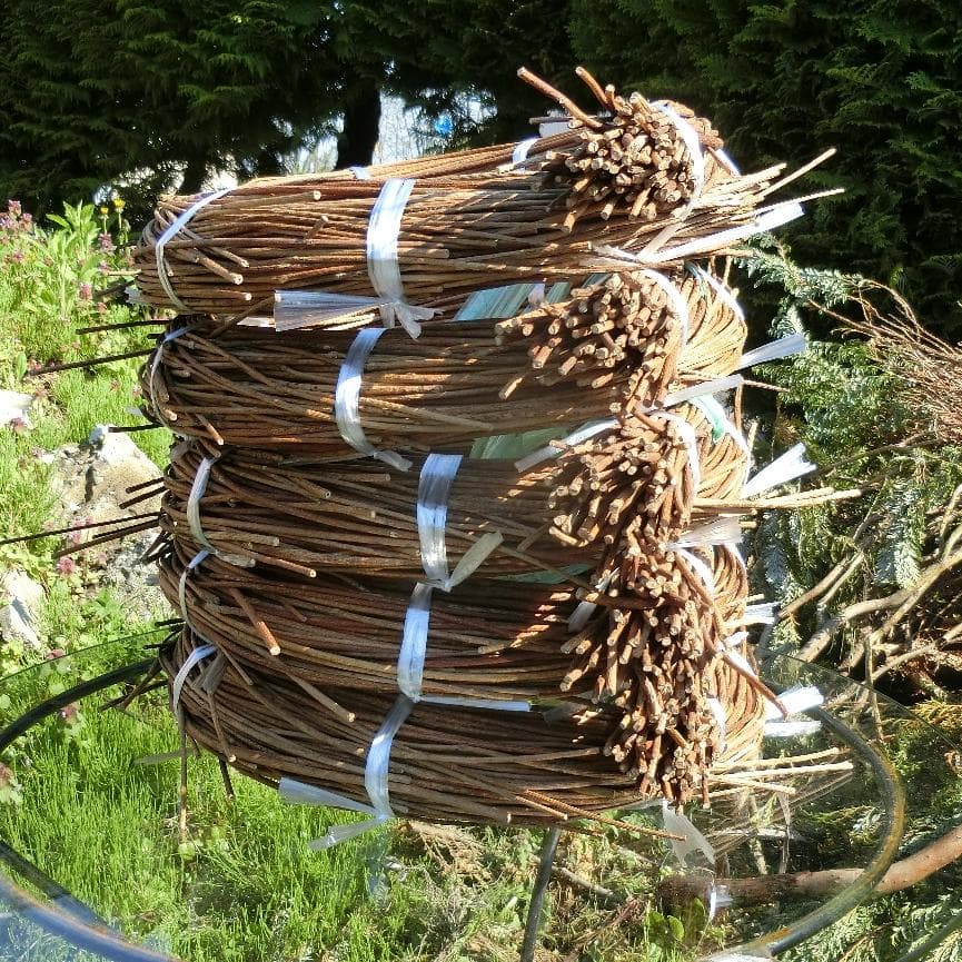 Marron　青森岩木山採取　あけび蔓　150cm～ 5kg