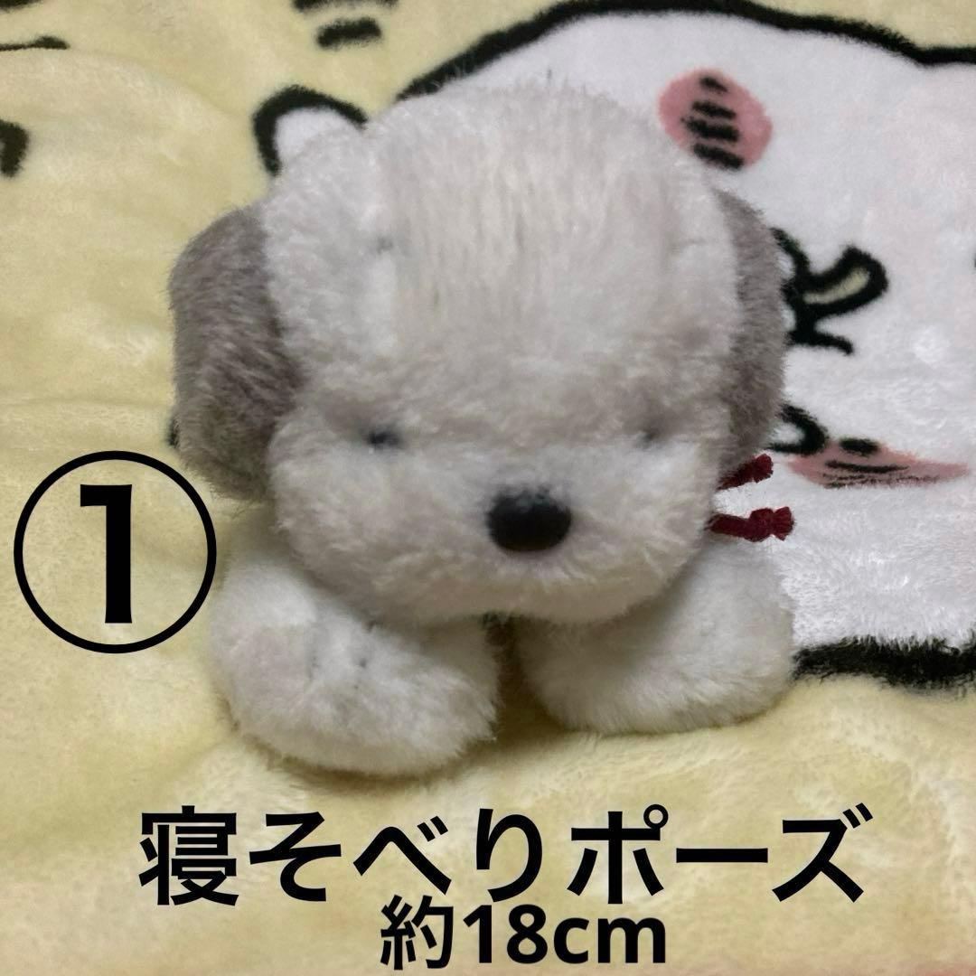 オリエンタルトーイ　うめ吉　ぬいぐるみ　4こセット　中古品