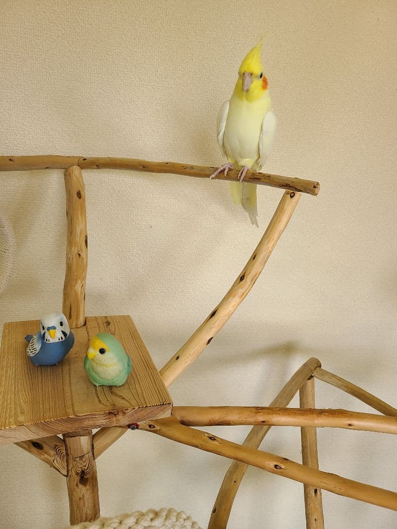 ① ぽこなつページ　バードアスレチック　ハンドメイド　流木