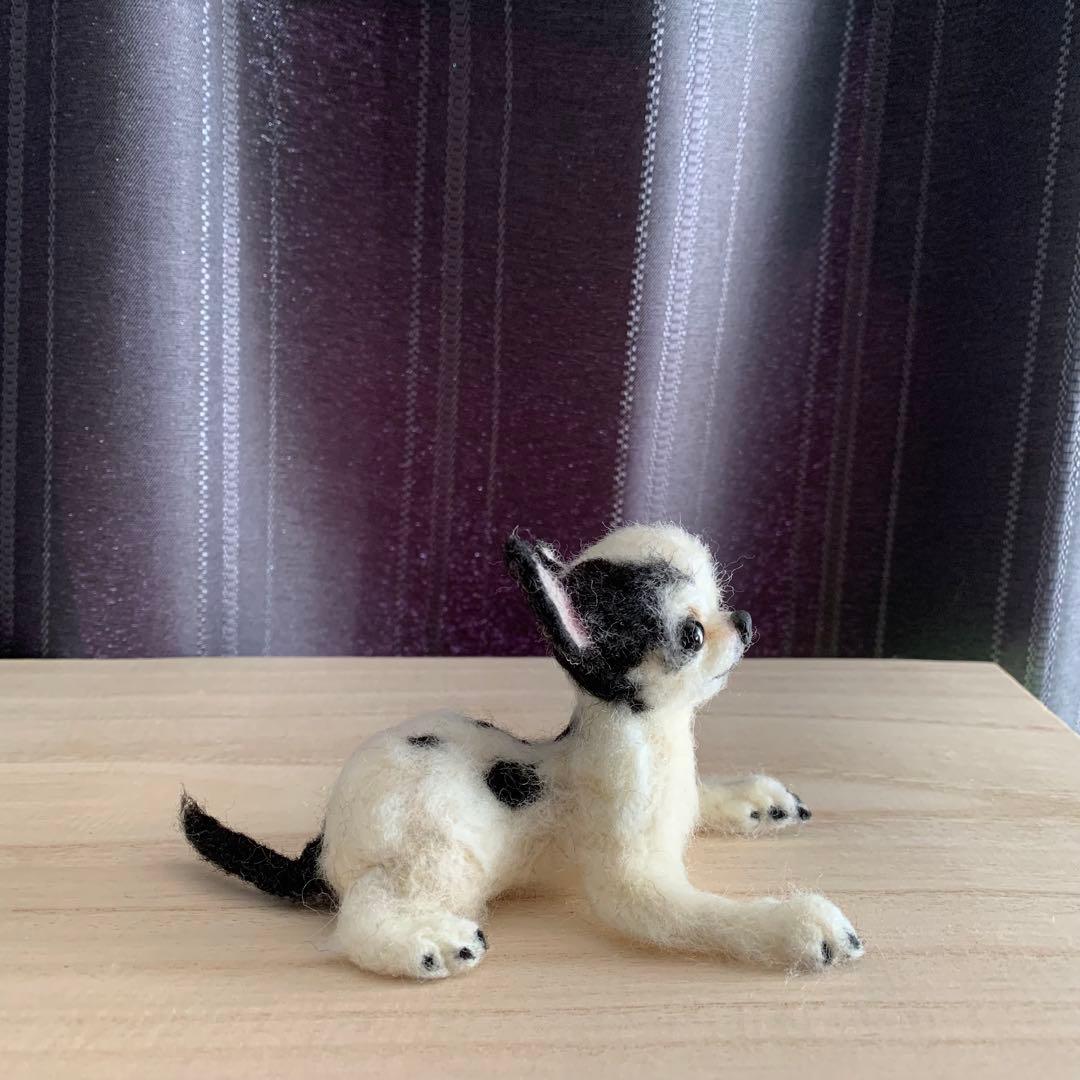 羊毛フェルト　チワワ　エリック様