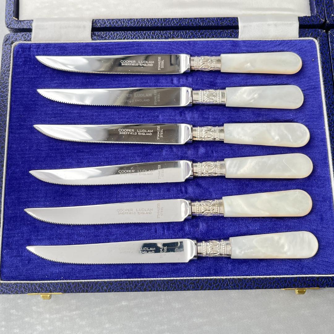 【Cooper Ludlam】【白蝶貝 】フルーツ / デザートセット 12本