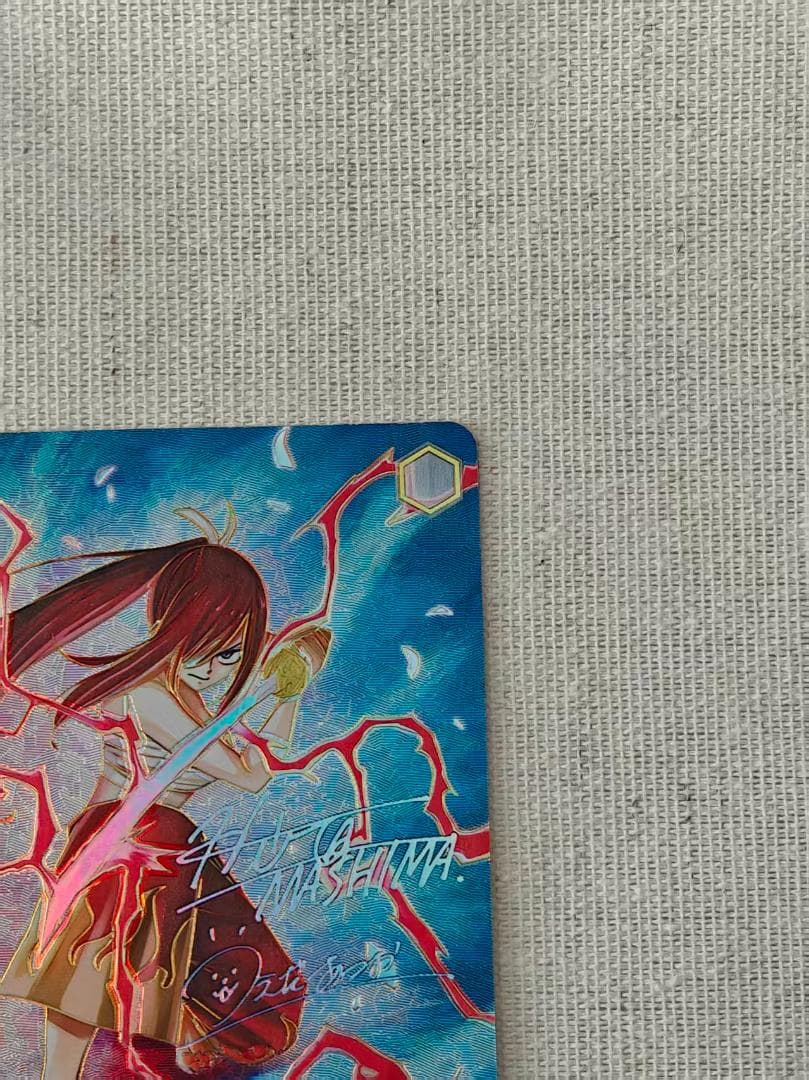 FAIRYTAIL 仲間を守る為の剣エルザ SEC