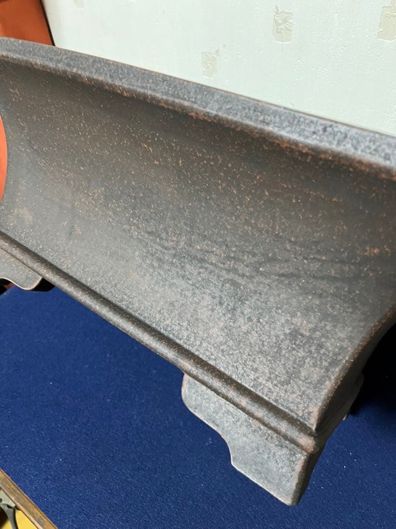 138 盆栽　盆栽鉢　植木鉢　和鉢　銭号