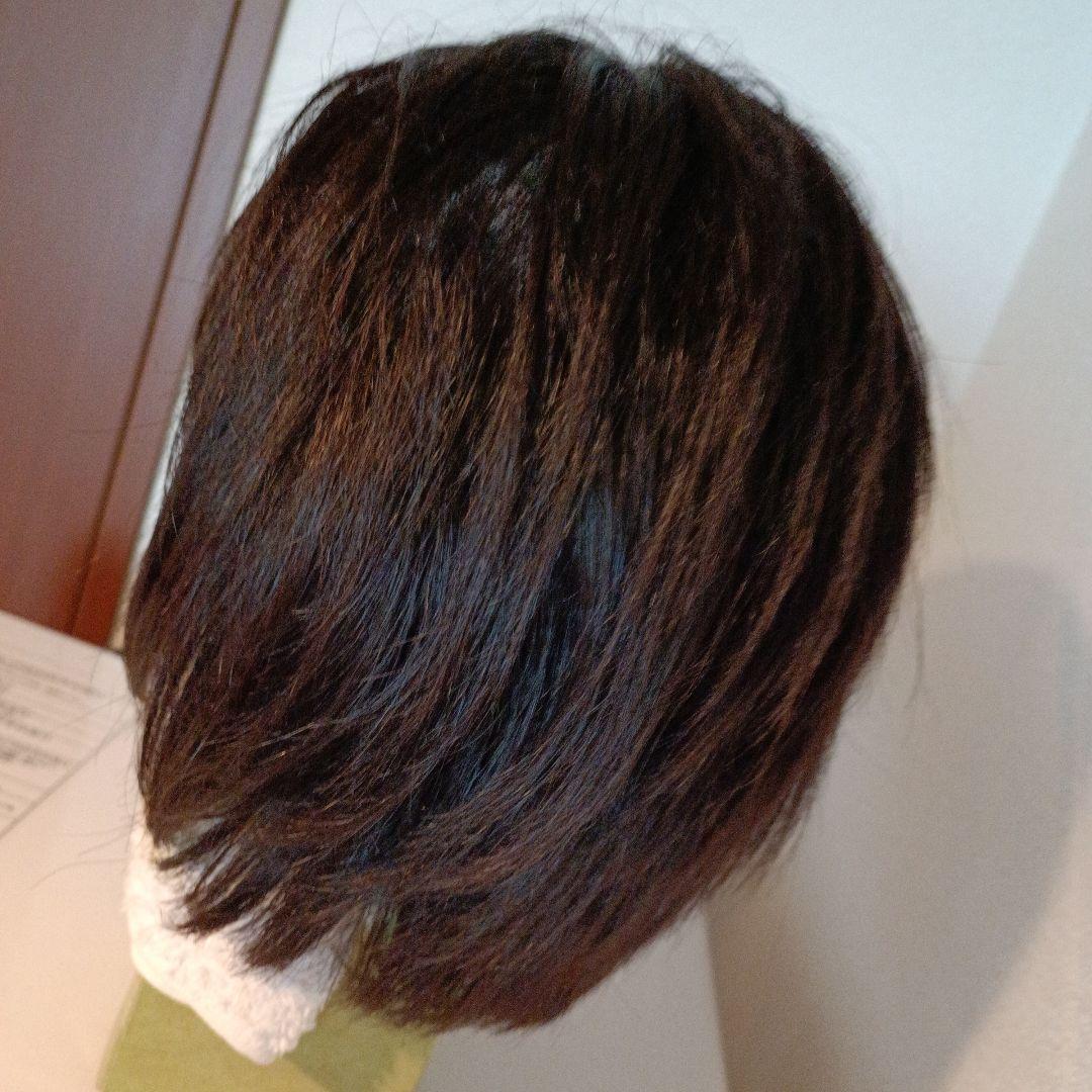 フォンテーヌヴァラン プレミアム フルウィッグ