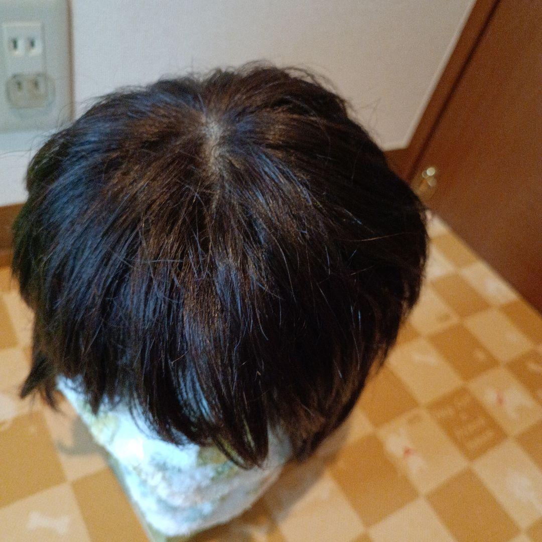 フォンテーヌヴァラン プレミアム フルウィッグ