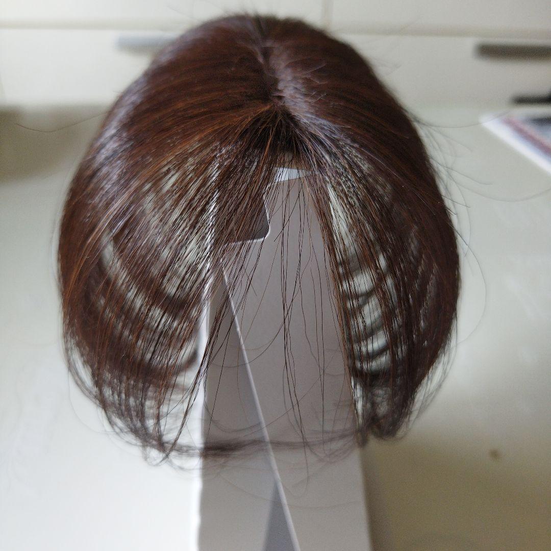 ペスカ　ヘアメイトチャチャ　 ショートタイプ　(ダークブラウン)