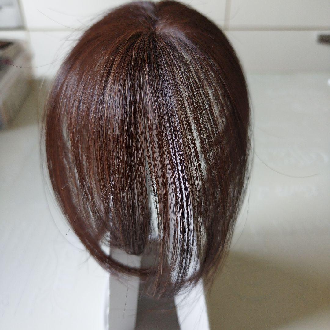 ペスカ　ヘアメイトチャチャ　 ショートタイプ　(ダークブラウン)