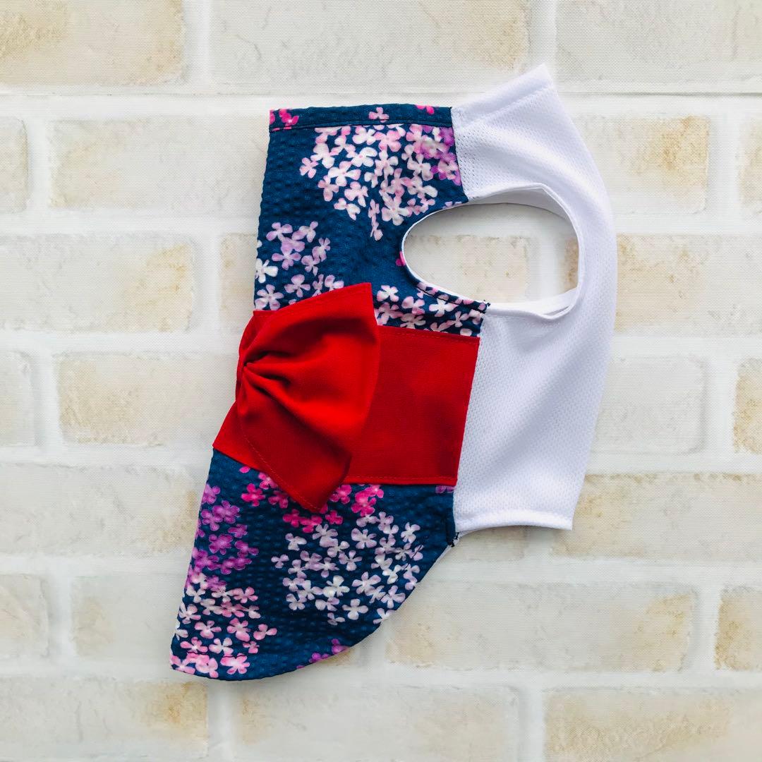 犬服　きのさん