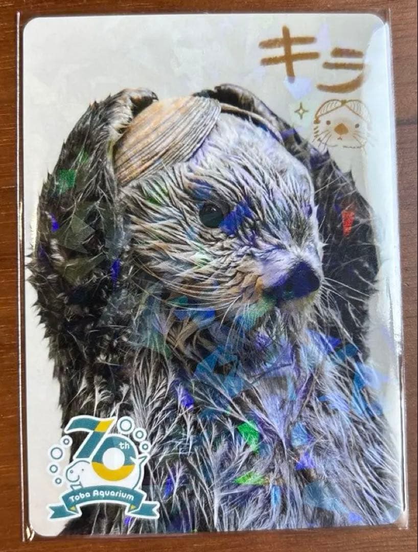 キラ レアカード 鳥羽水族館 70周年コレクションカード