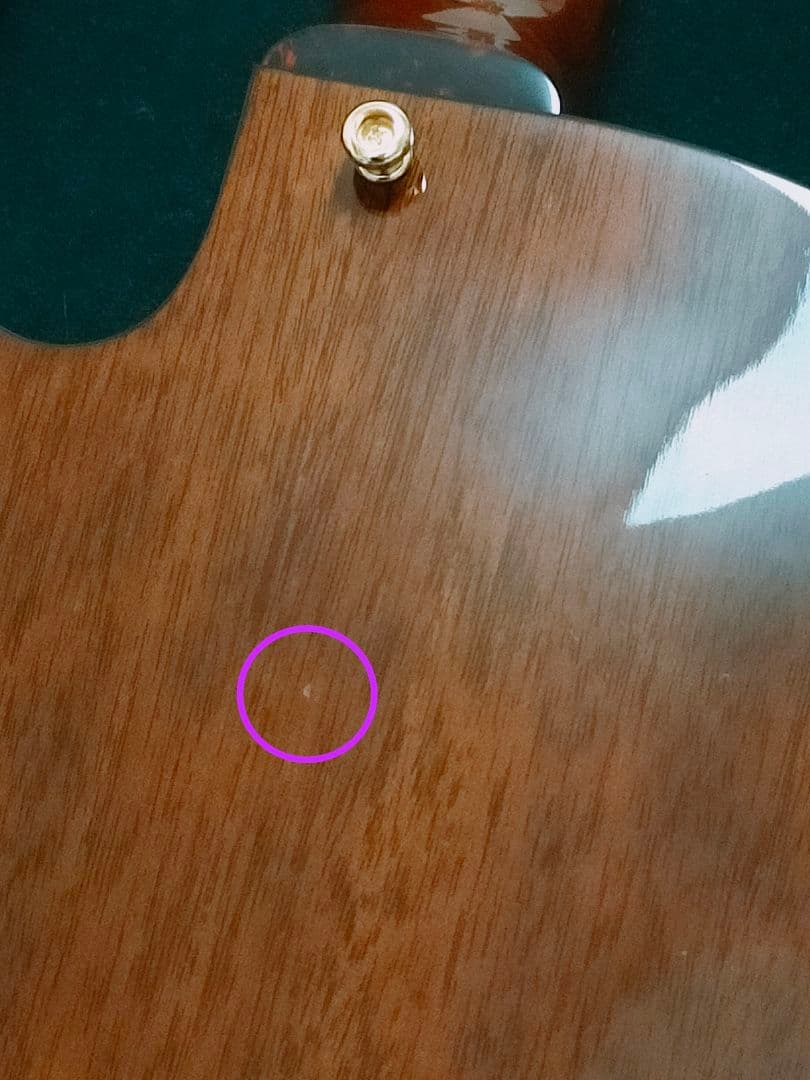 ロゼオ ギター Rozeo Ladybug フルアコースティック 美品