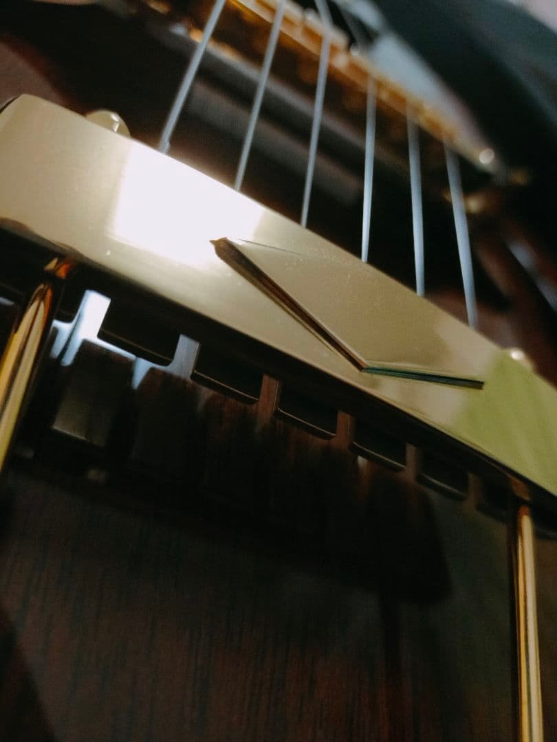 ロゼオ ギター Rozeo Ladybug フルアコースティック 美品