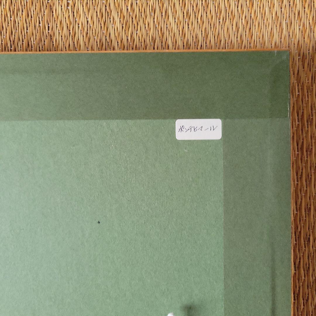 坂本直行 水彩画 「ポンテヒマール」