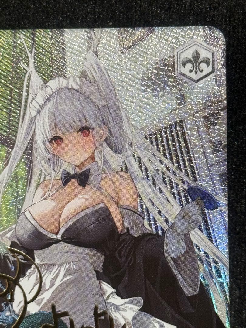 【マグネットローダー付き】ヴァイス　四万十　sp