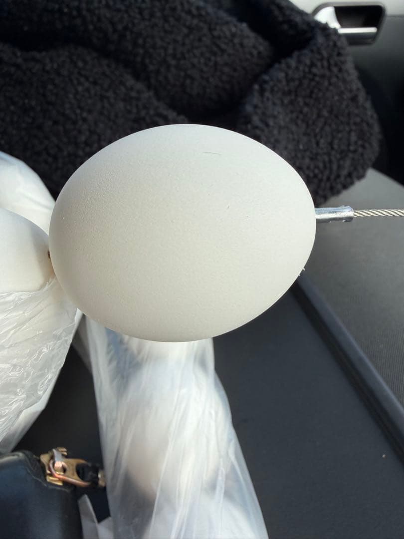 万博 アースマート　Earthmart 一生分のたまご　吊りたまご　小山薫堂