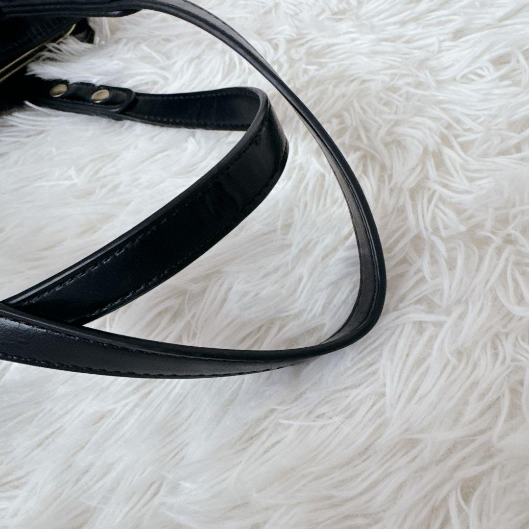 現行品✨美品✨ANNASUIアナスイ ディディオン ハンドバッグ がま口 大