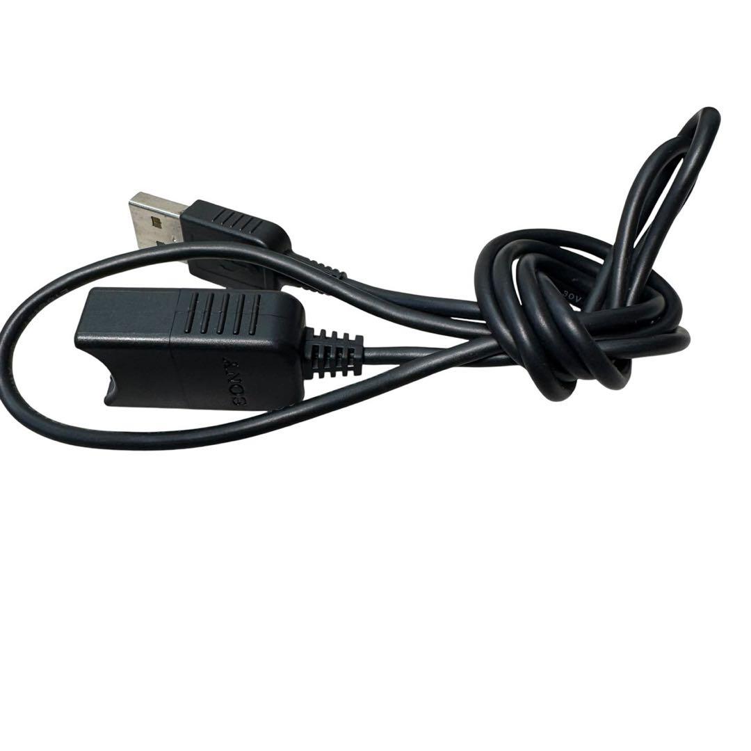 ソニー ハンディカム HDR-CX420 デジタルビデオカメラ