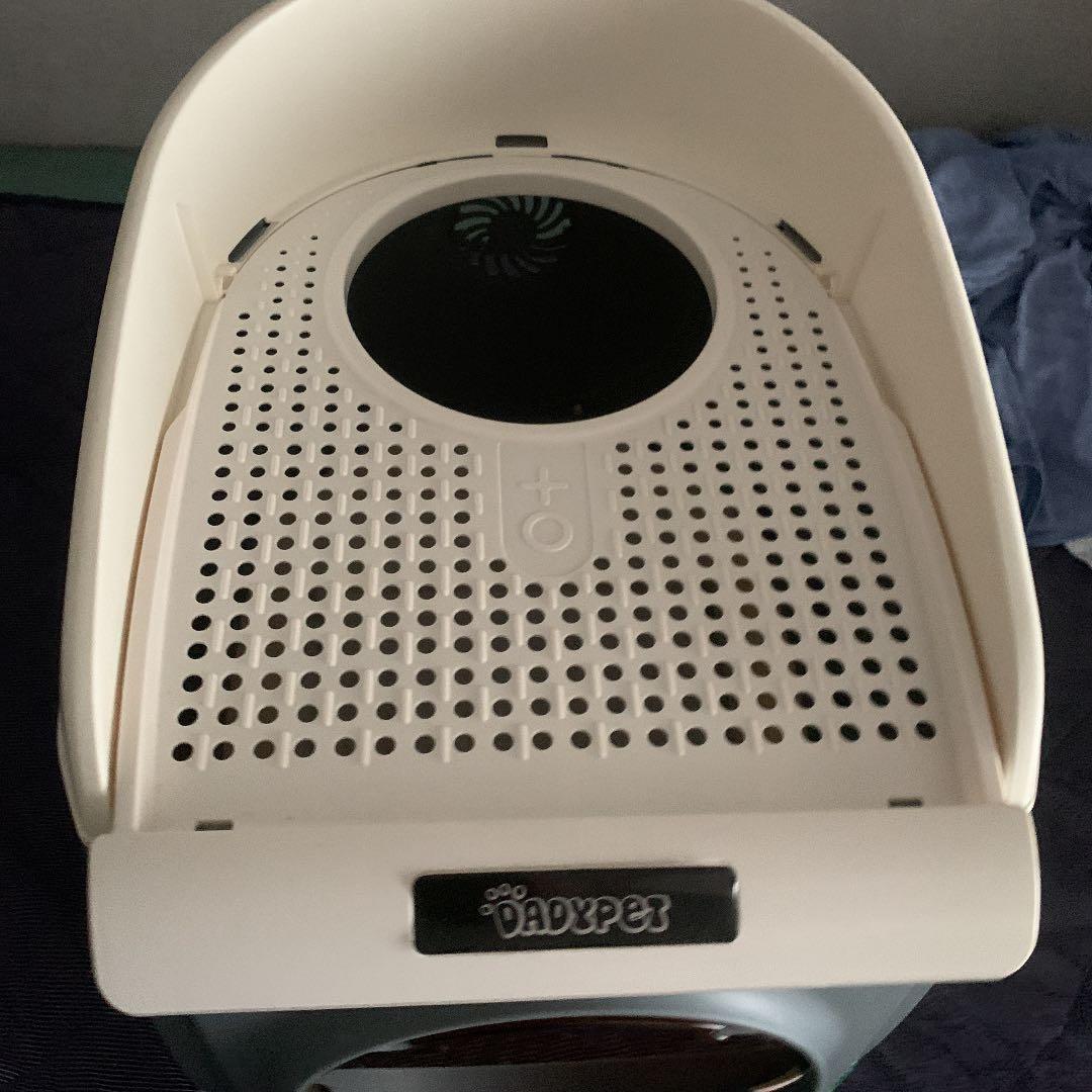 ネコのトイレ大きい