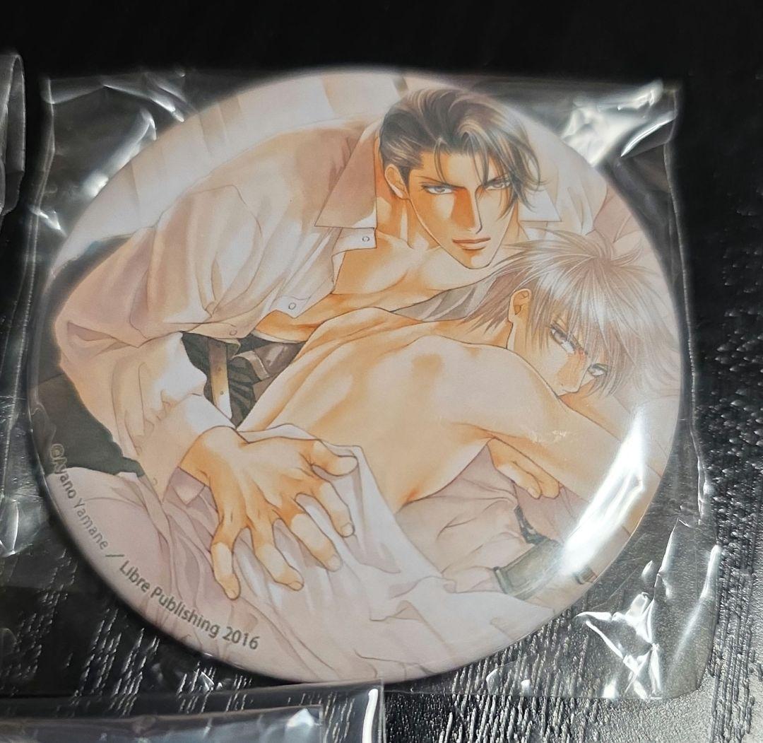 ファインダーシリーズ　缶バッジ3個セット　やまねあやの