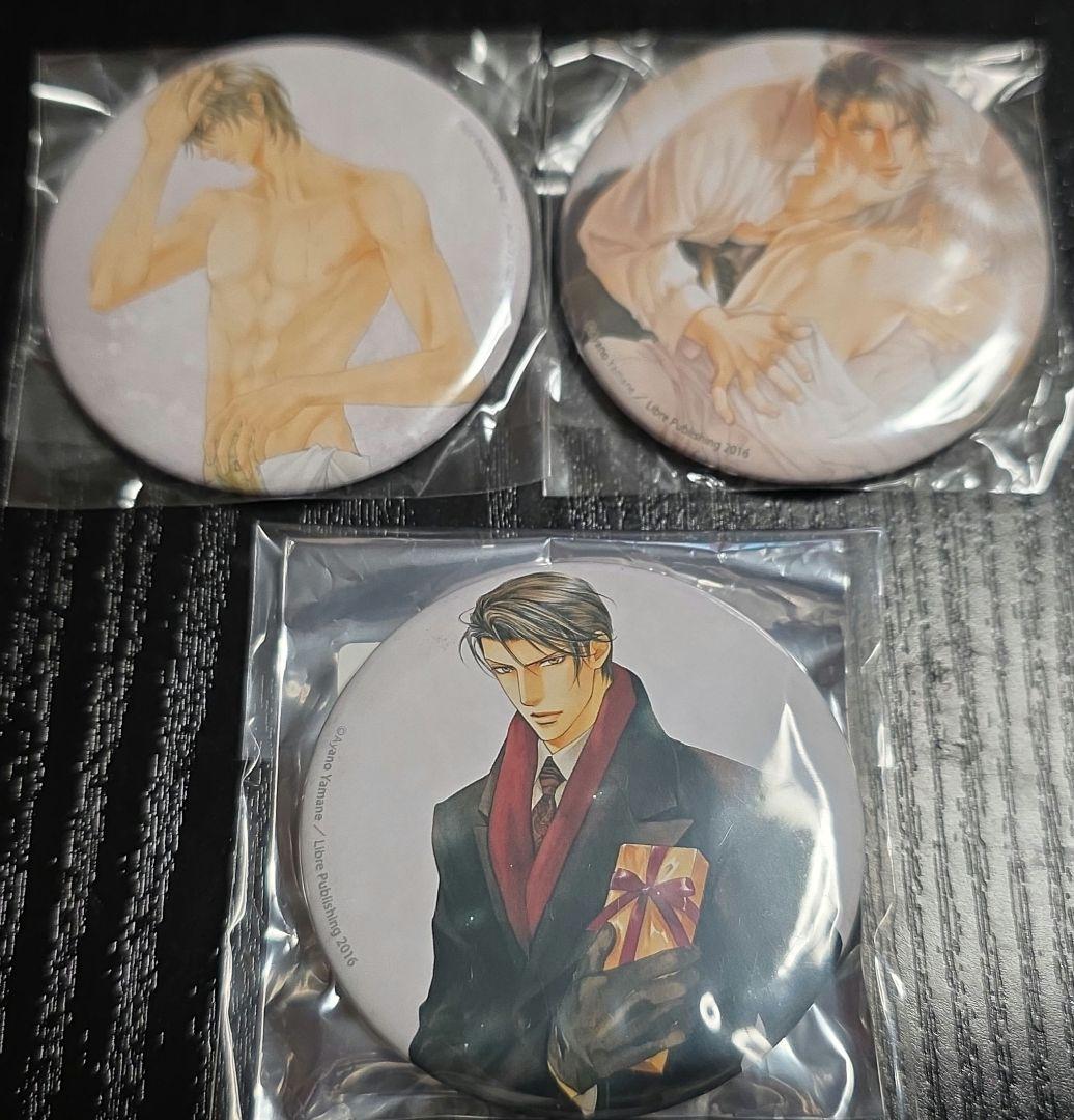 ファインダーシリーズ　缶バッジ3個セット　やまねあやの