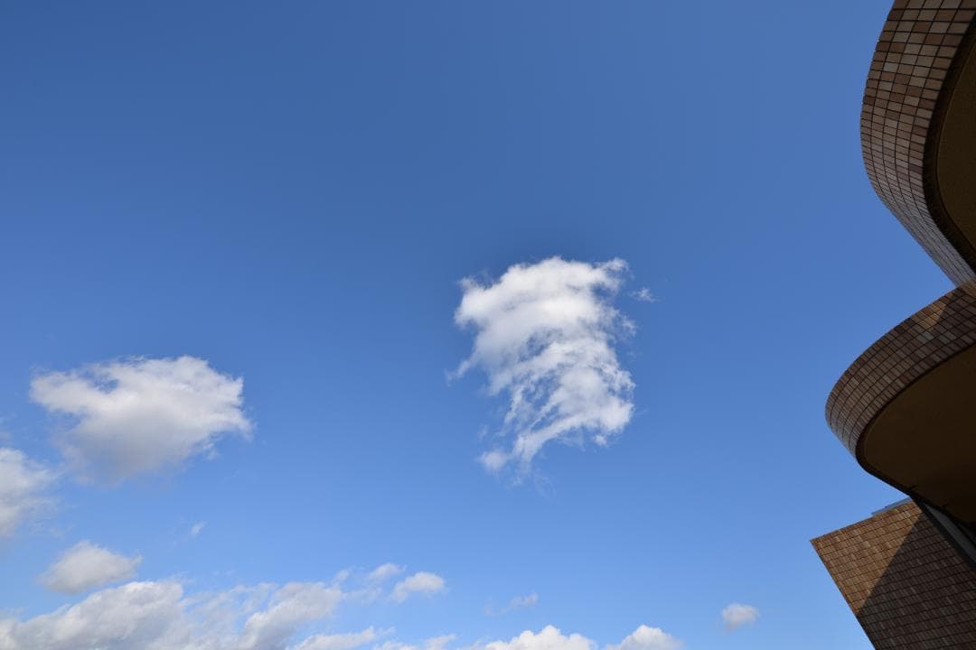 【特価】Nikon AF-S NIKKOR 14-24mm F2.8G ED