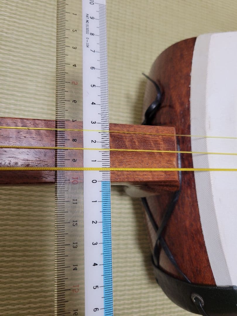 津軽三味線太棹 鼈甲バチ 桐芯ケースセット