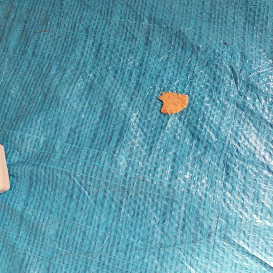 日立　掃除機　2021年製　ごみダッシュサイクロン CV-SF80A