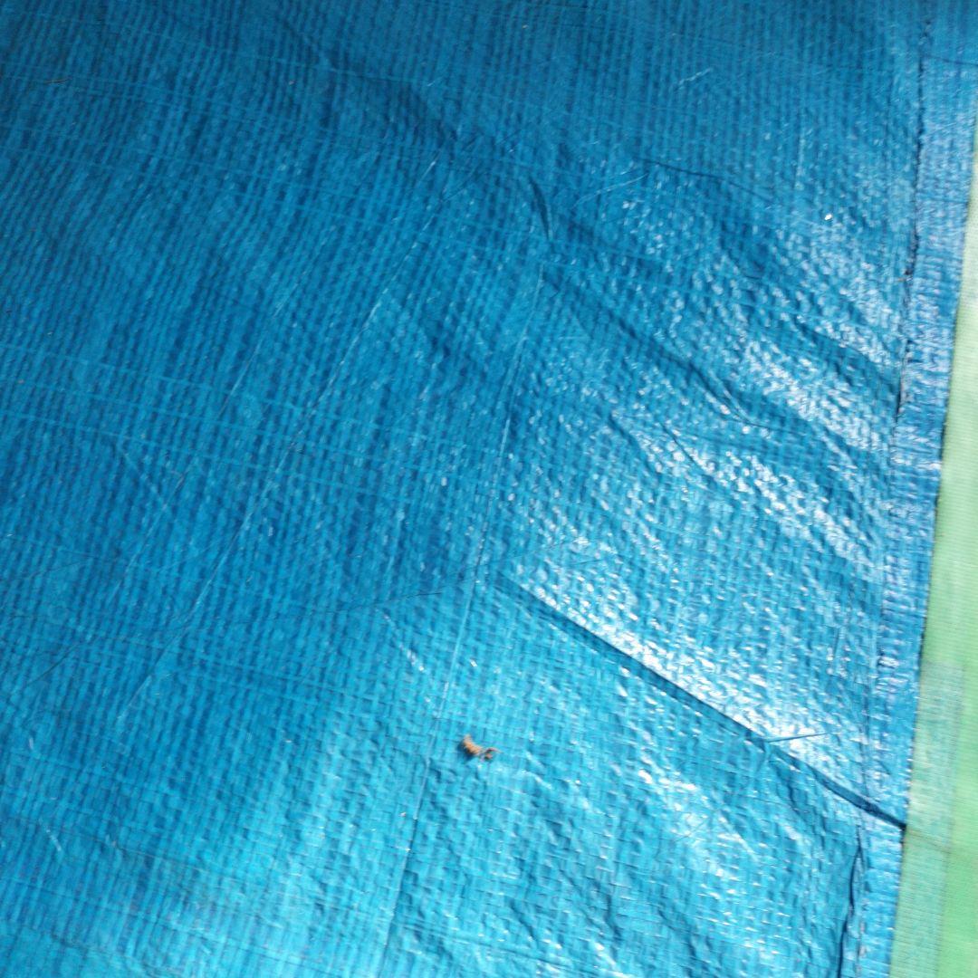 日立　掃除機　2021年製　ごみダッシュサイクロン CV-SF80A