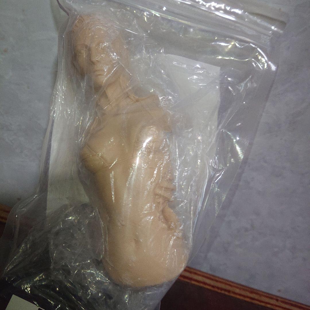 ケサランパサラン/ゾンゲリアン/未塗装キット