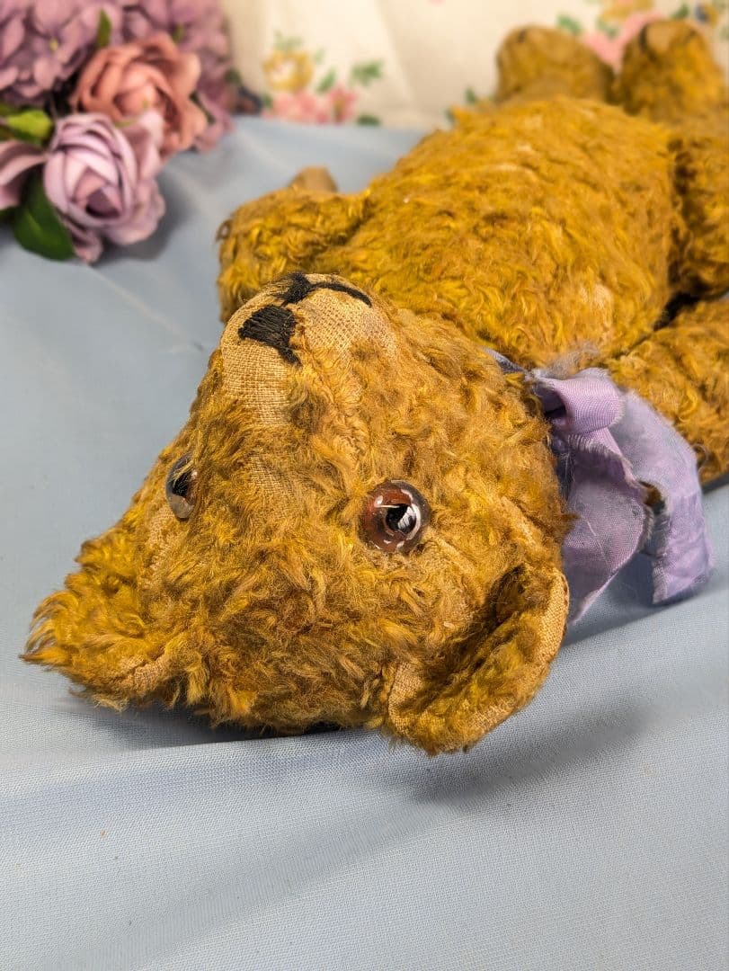 イギリス アンティーク テディベア アンティークベア 35.5cm