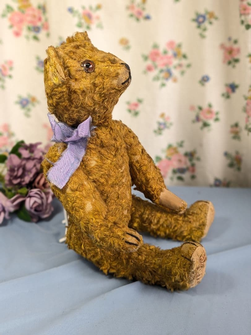 イギリス アンティーク テディベア アンティークベア 35.5cm