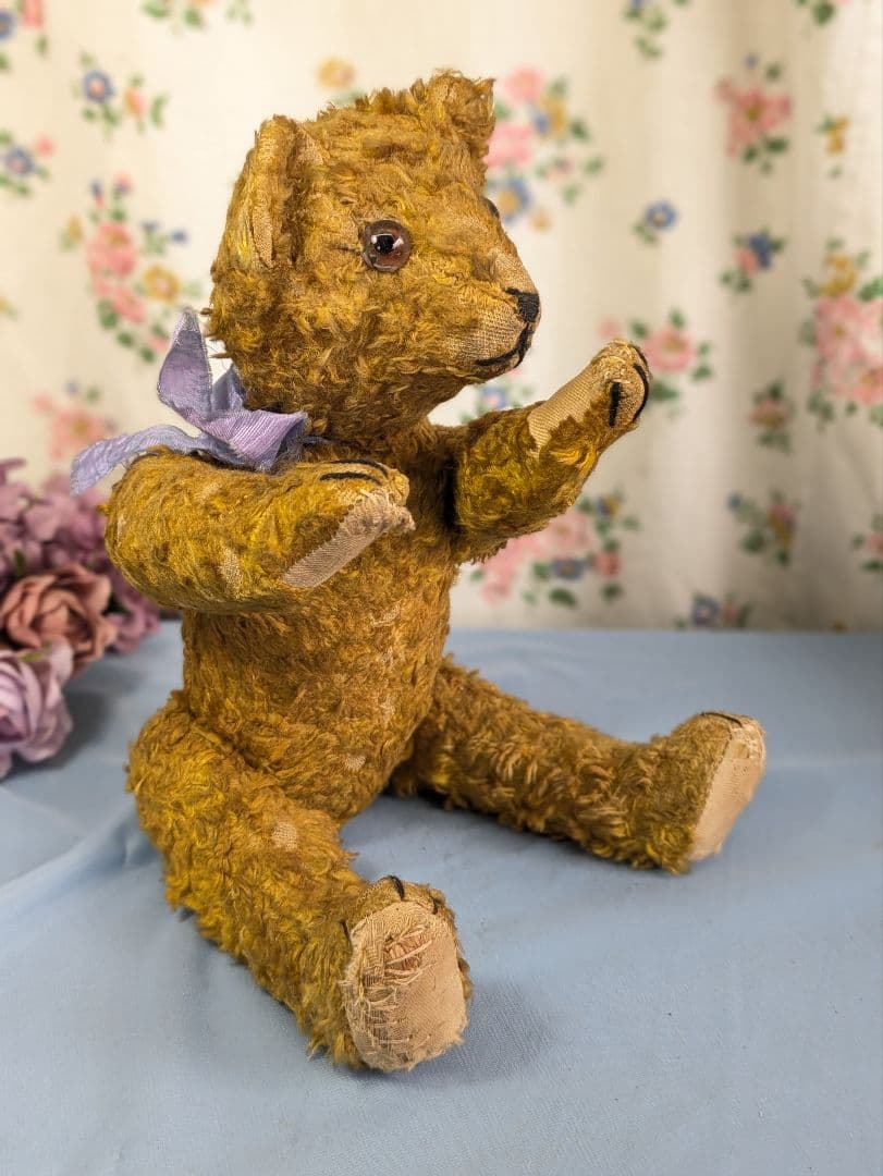 イギリス アンティーク テディベア アンティークベア 35.5cm